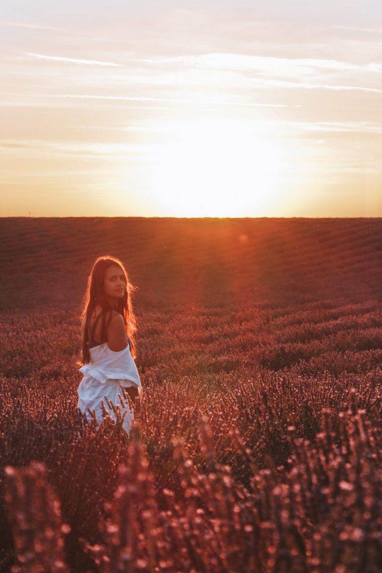 girl standing in lavender at sunset, plateau de valensole