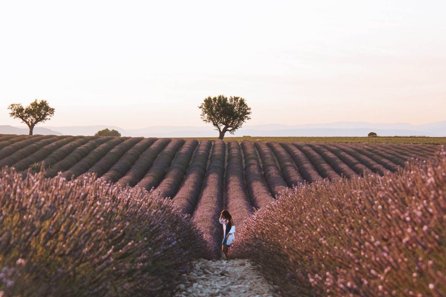 girl standing in lavender at sunset, in south france