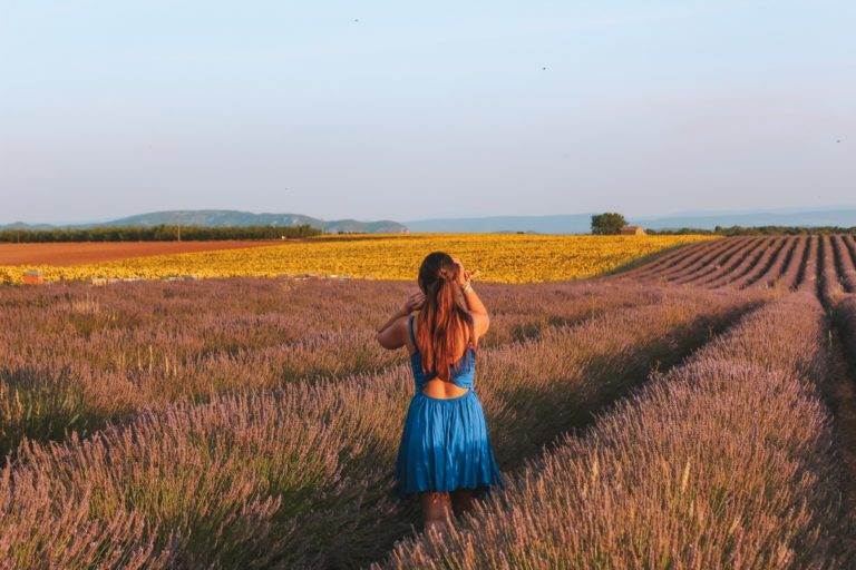 girl standing in lavender field, plateau de valensole provence