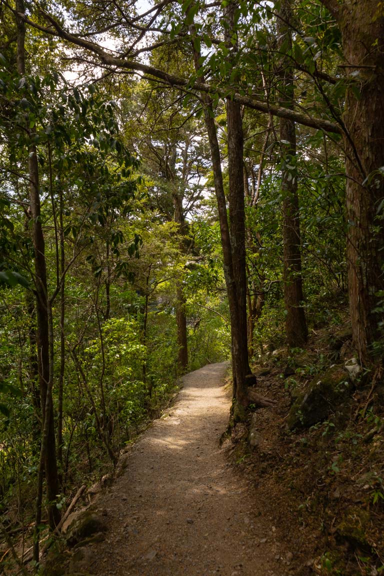 rainbow falls trail