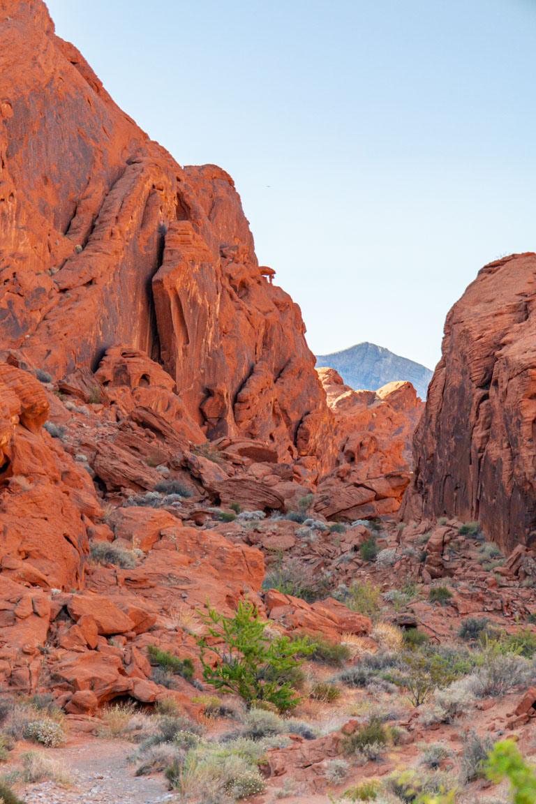 red rocks valley of fire state park