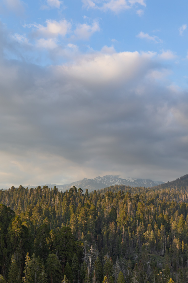 sequoia national park moro rock trail