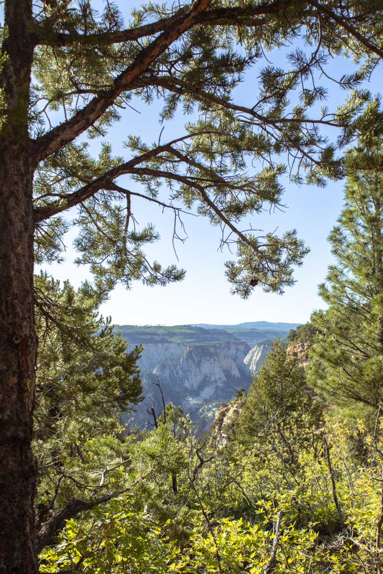 sneak peak observation point hike views