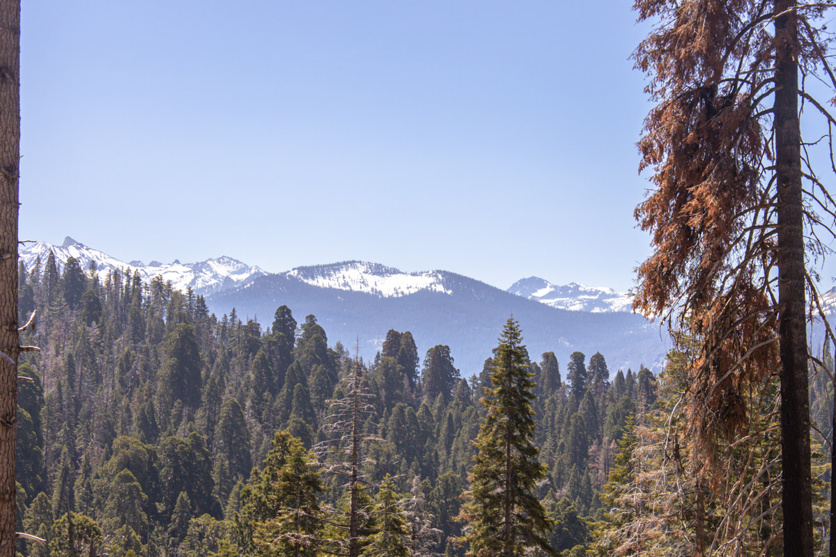 snow capped mountains sequoia national park california