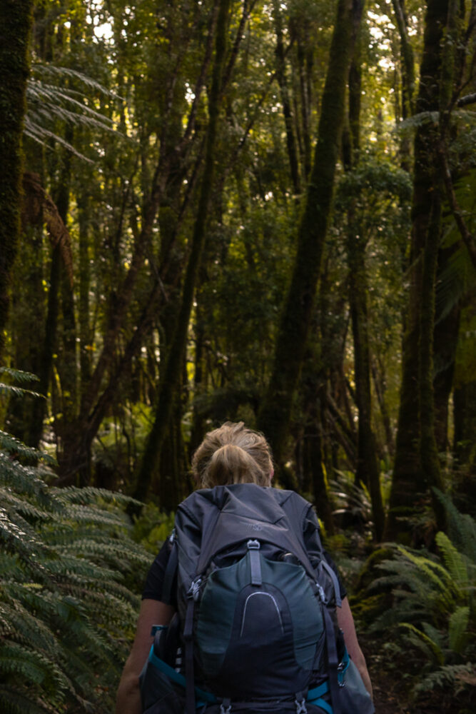 Read more about the article 5 Essential Tips for Solo Hiking in New Zealand