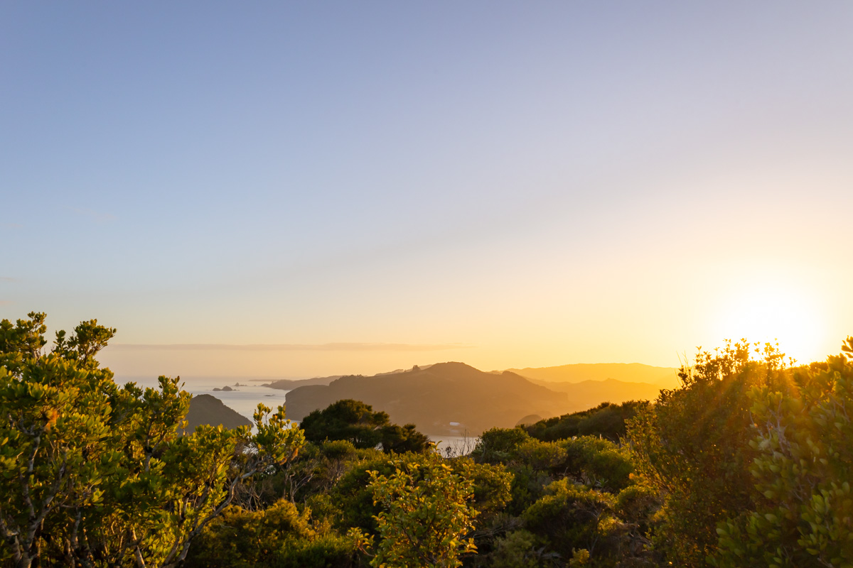 sun rising bay of islands new zealand