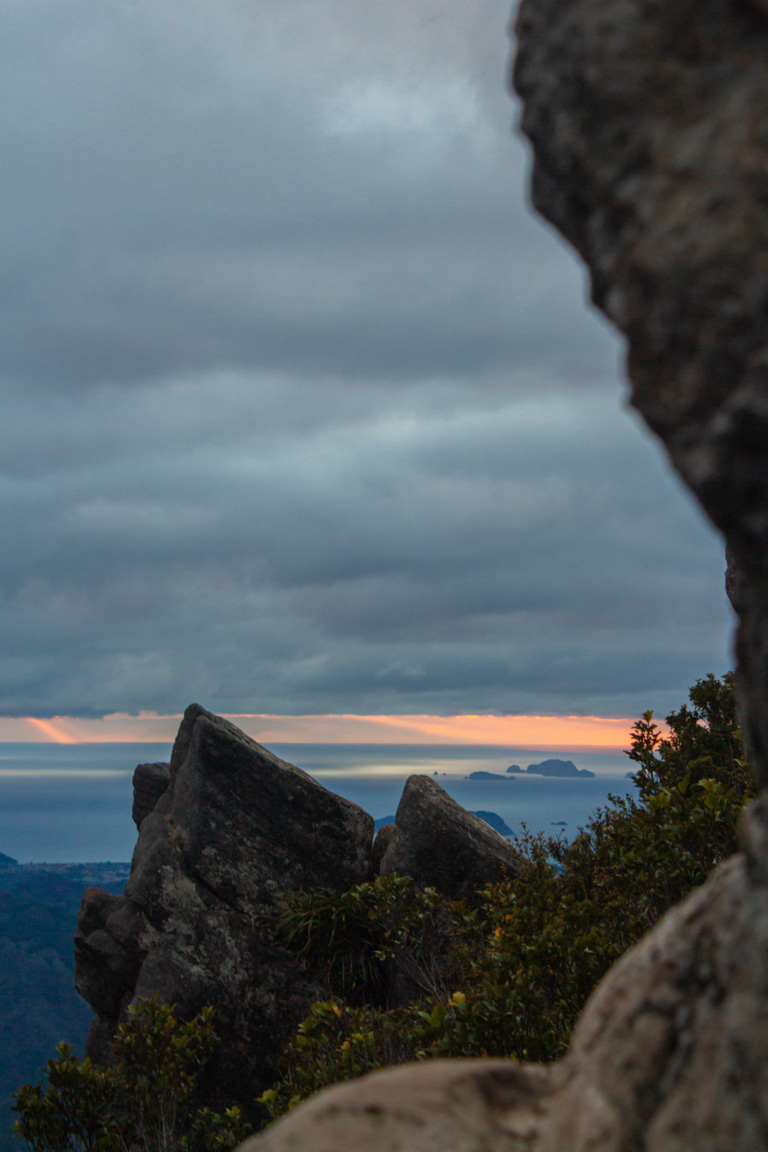 sunrise waikato