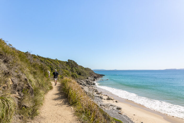 sunshine beach to noosa heads walk track