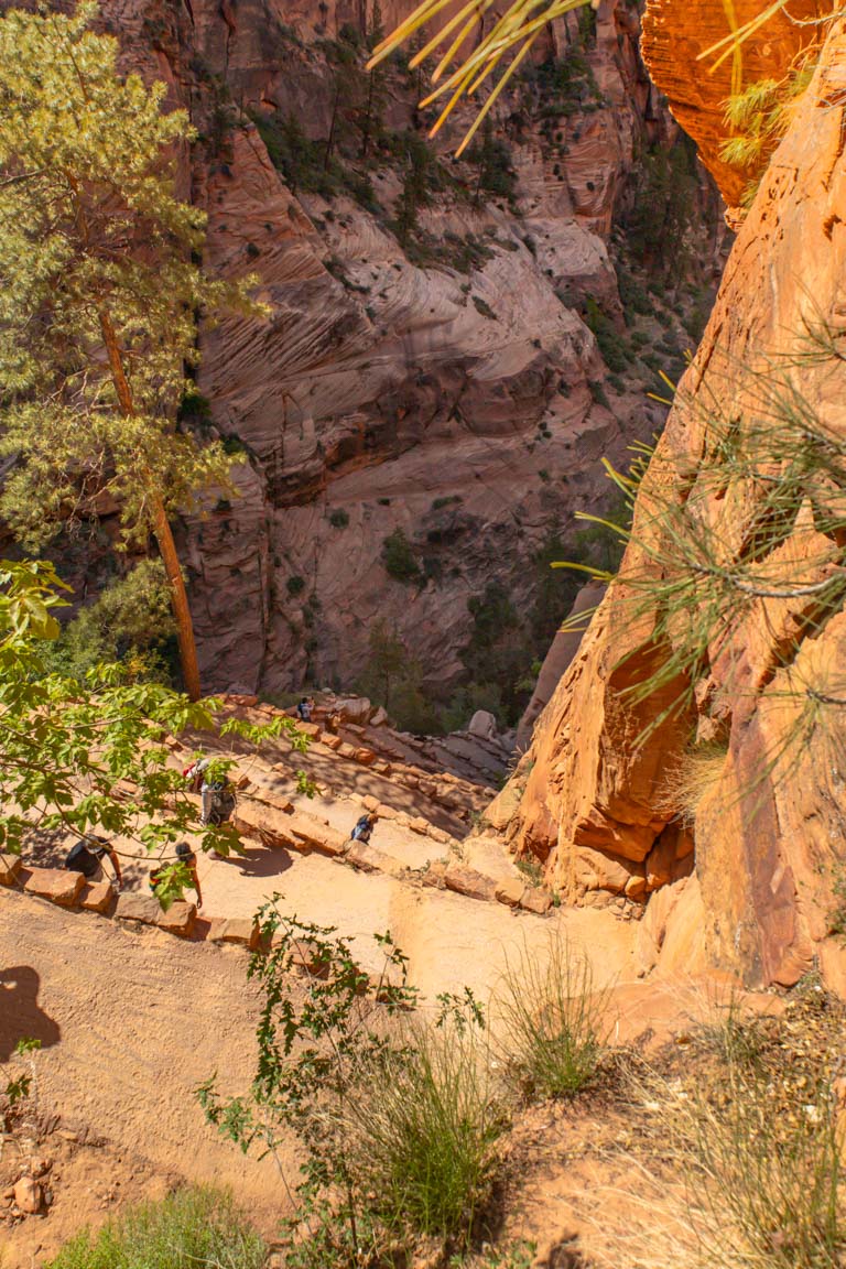 angels landing switchbacks