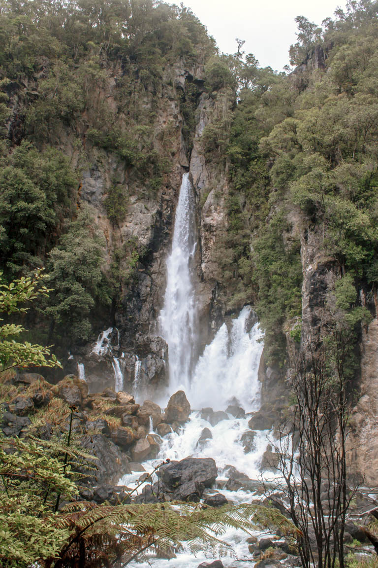 tarawera falls new zealand