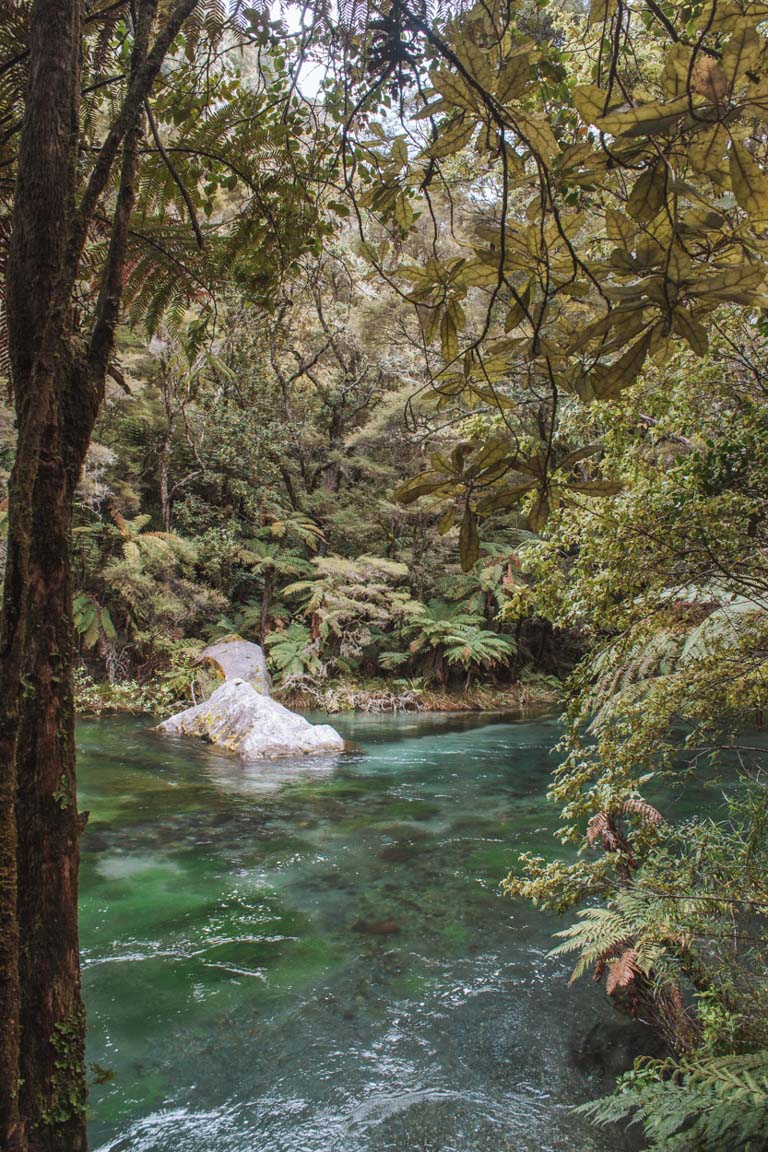 tarawera falls trail