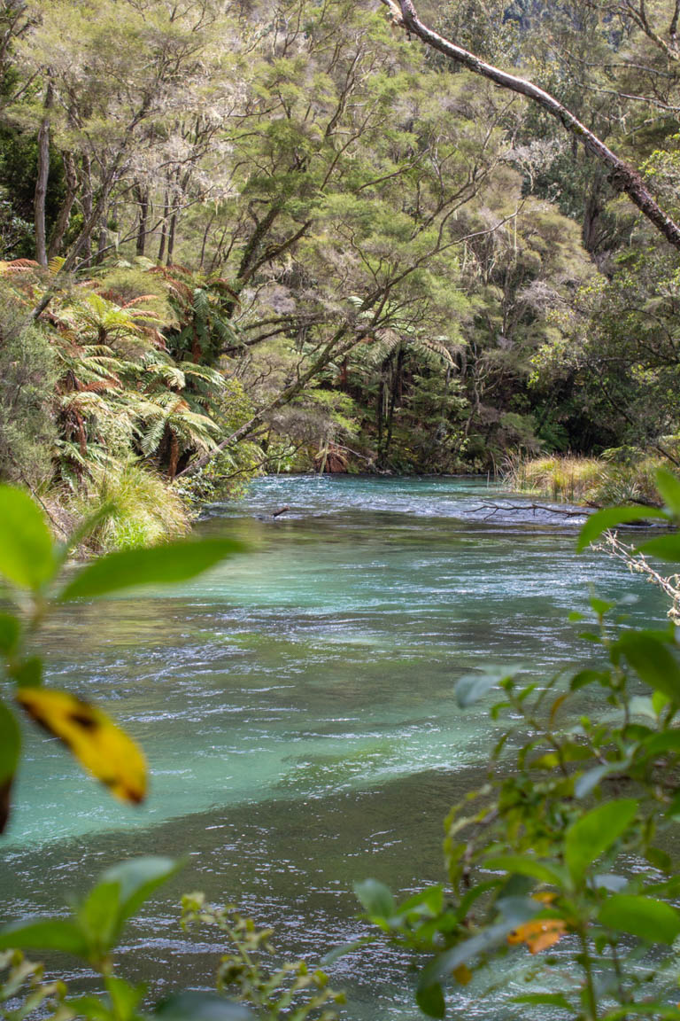 tarawera river