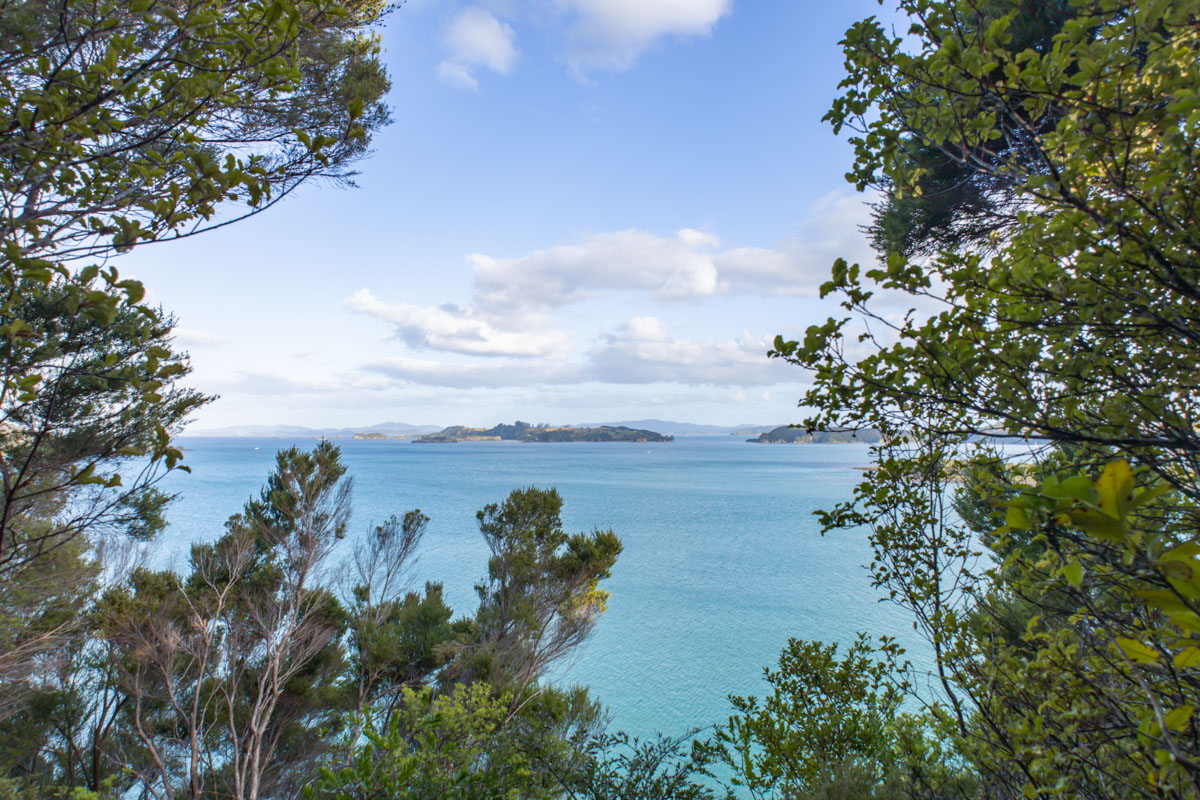 opito bay walk in northland tareha point scenic lookout landscape photography