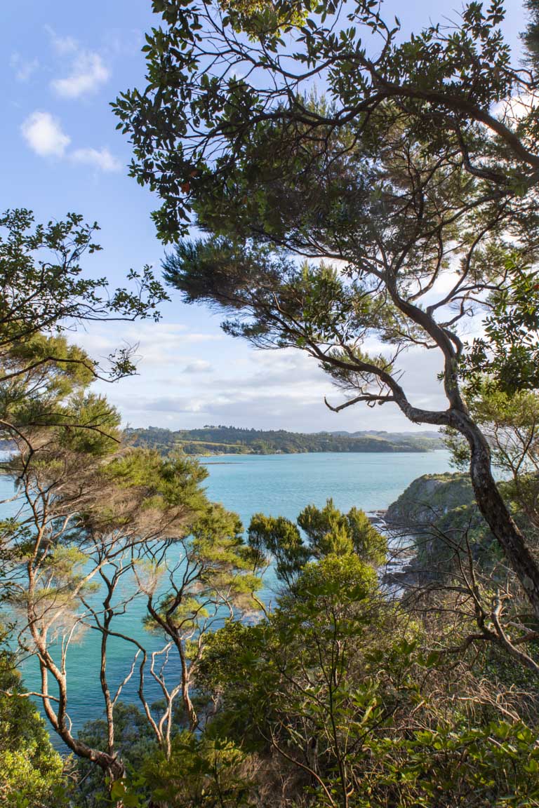 tareha point scenic lookout on opito bay walk in northland new zealand