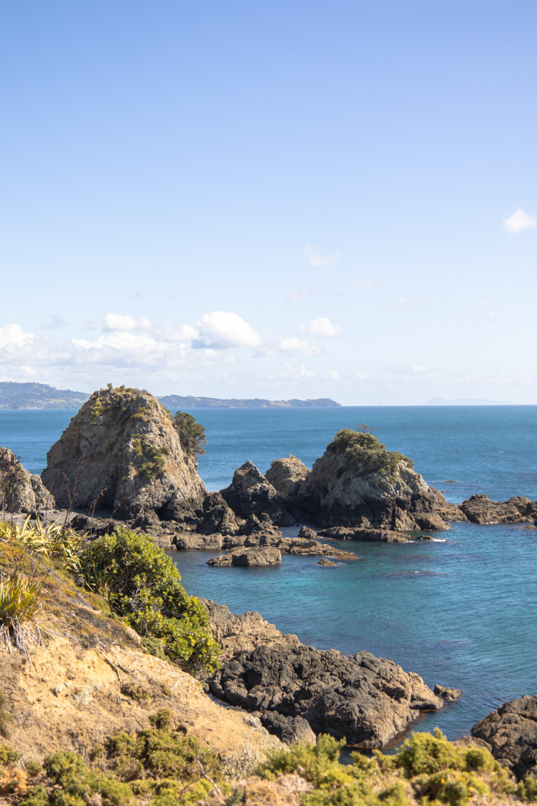tāwharanui point lookout