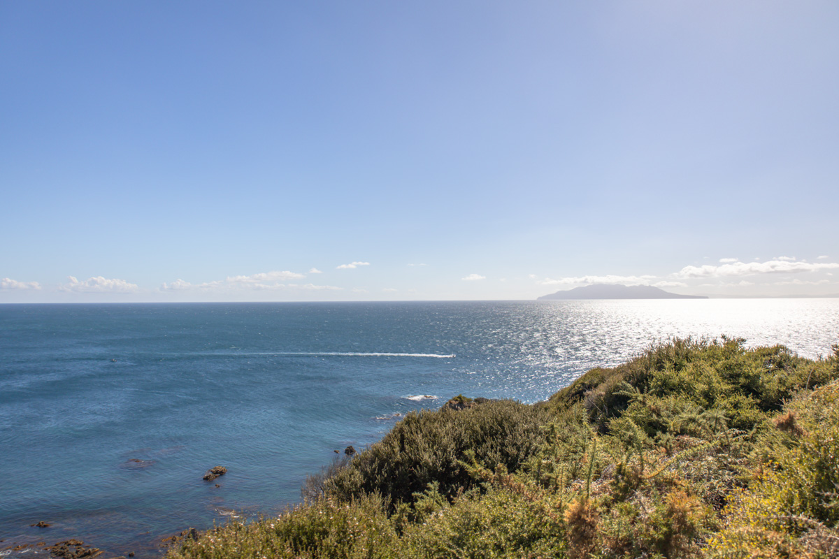 tāwharanui point via north and south coast tracks summer new zealand