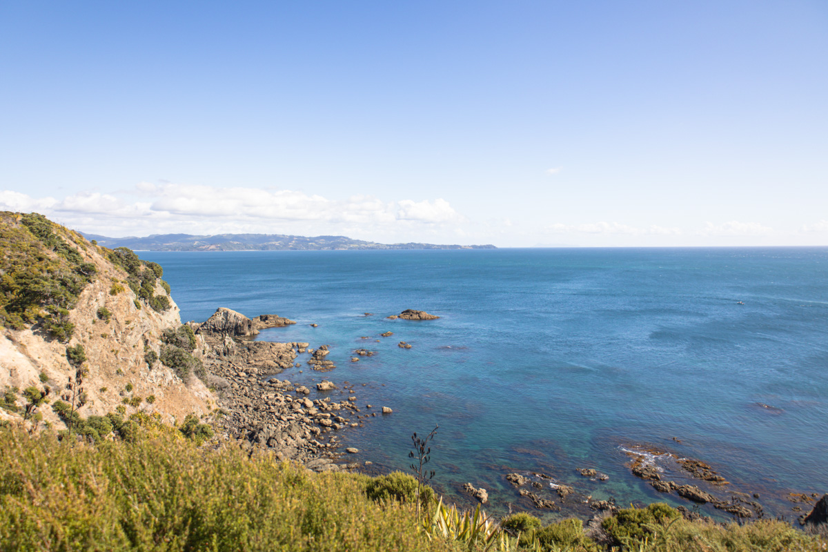 tāwharanui point via north and south coast tracks photography