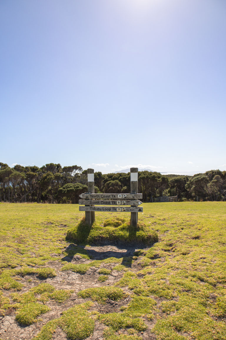 tāwharanui trail sign