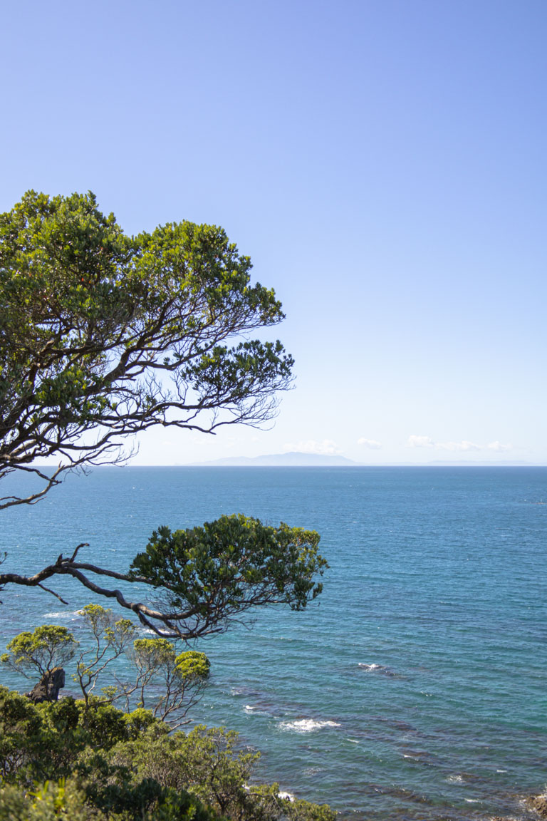 te hauturu-o-toi little barrier island