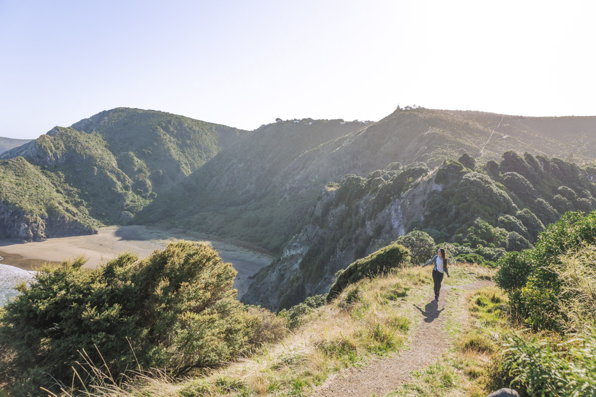 te waha point rose track