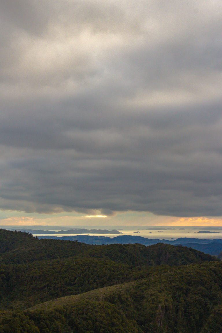 the pinnacles in new zealand hiking trail