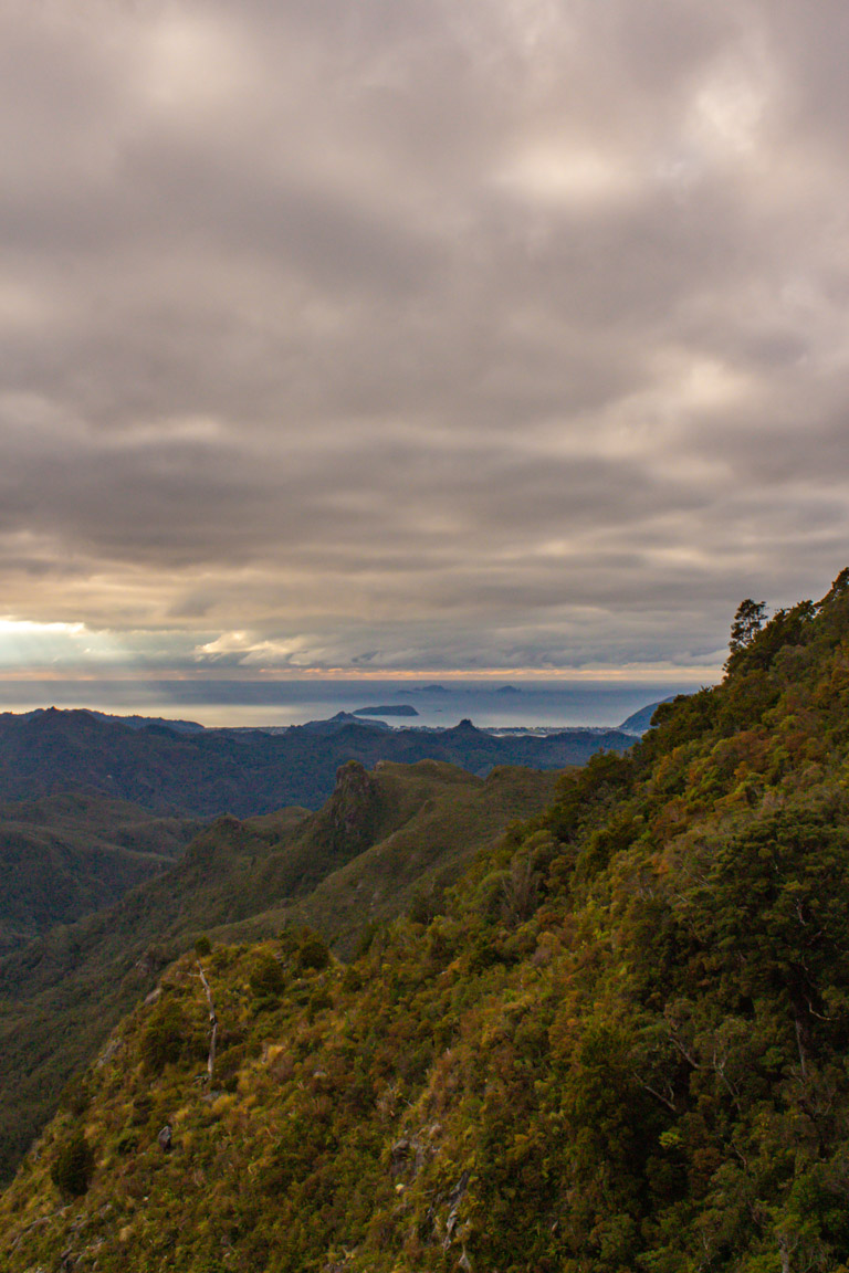 the pinnacles in new zealand views