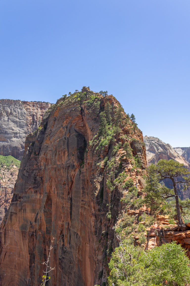 tips for hiking angels landing track