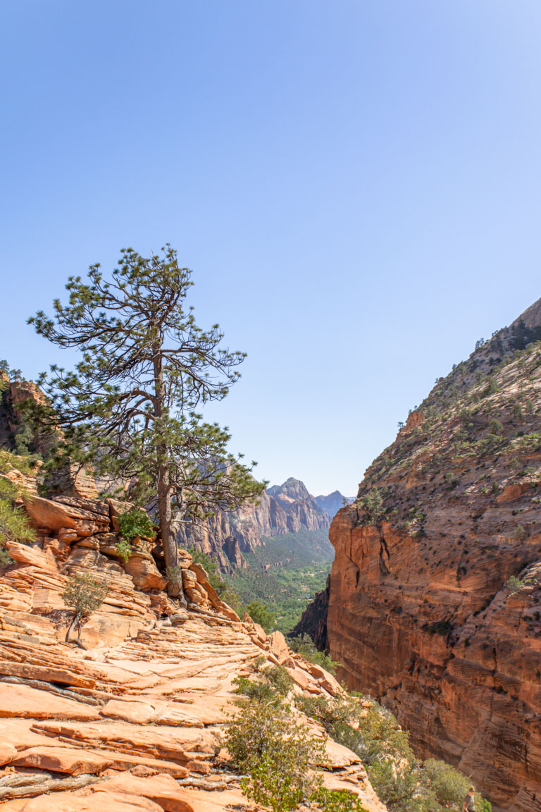 tips for hiking angels landing trail zion utah