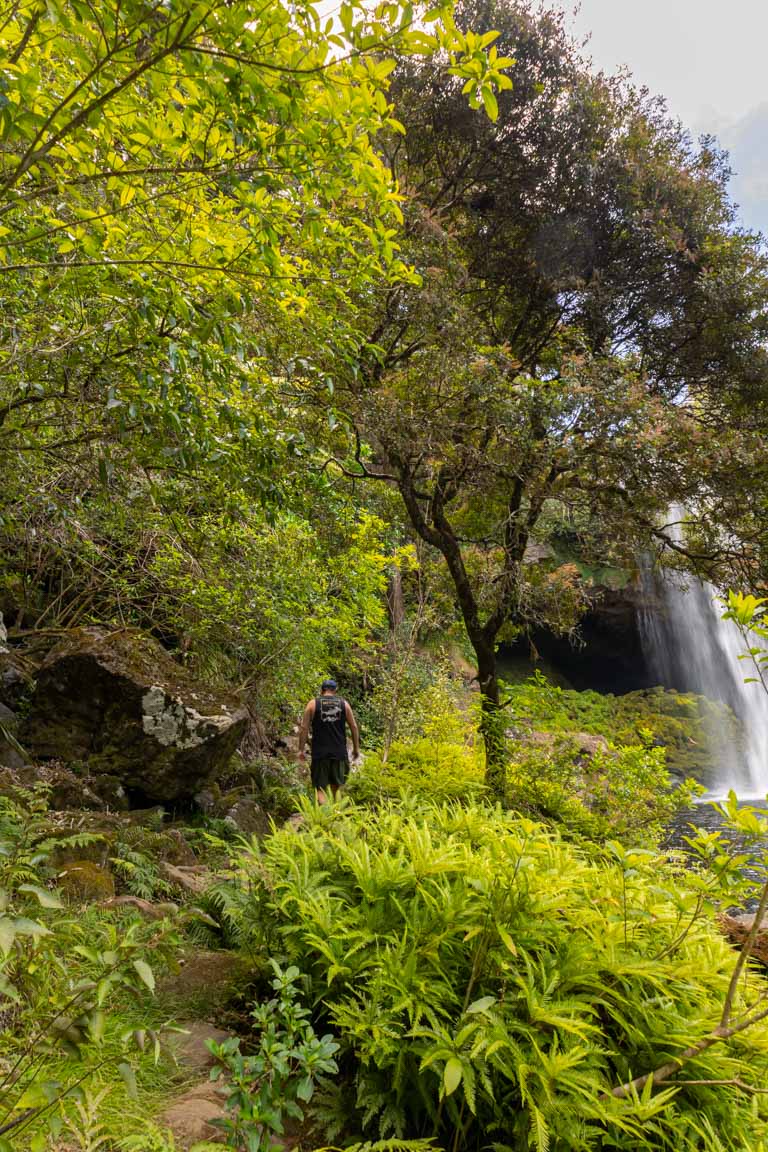 unmarked trail around rainbow falls