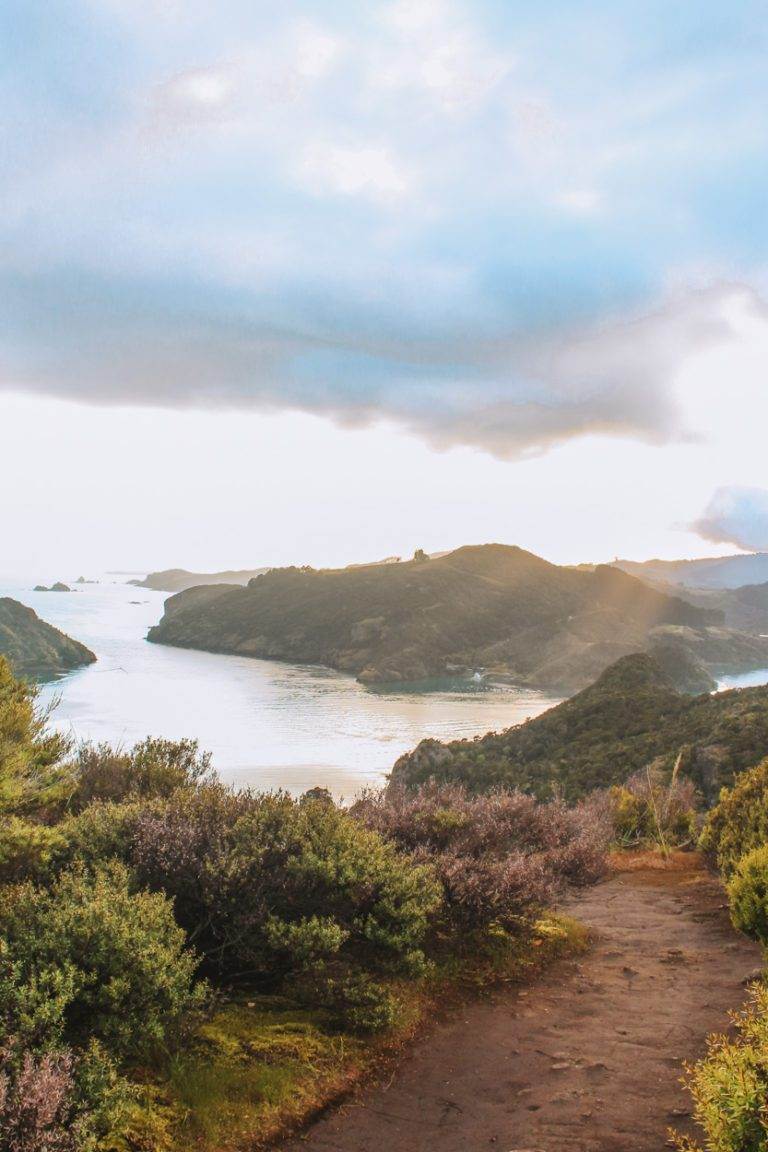 sea view from dukes nose lookout on northland road-trip