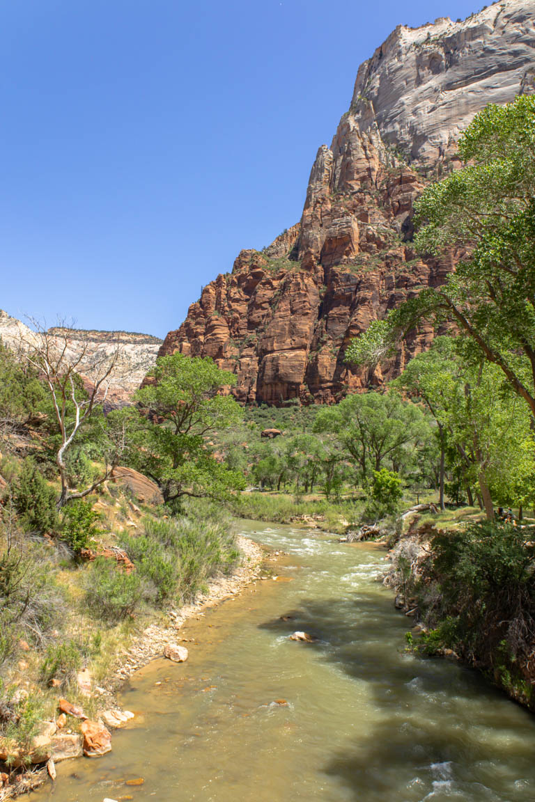 virgin river zion national park