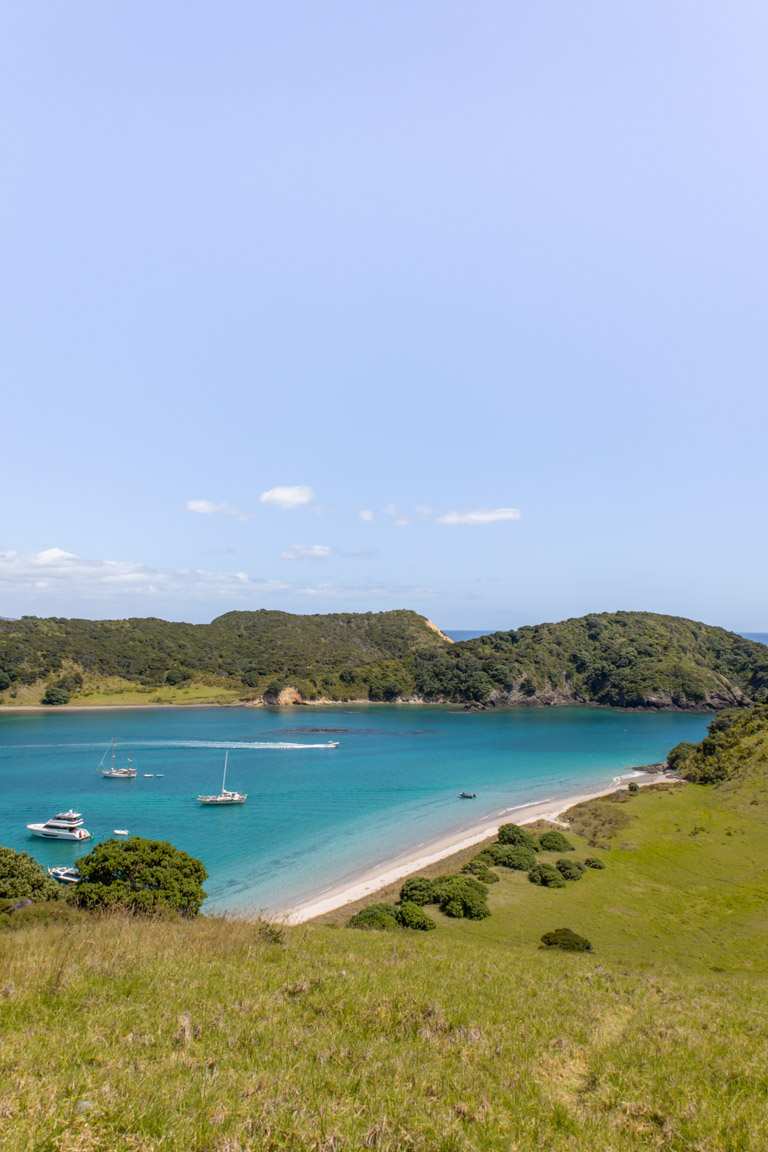 waewaetorea island bay views