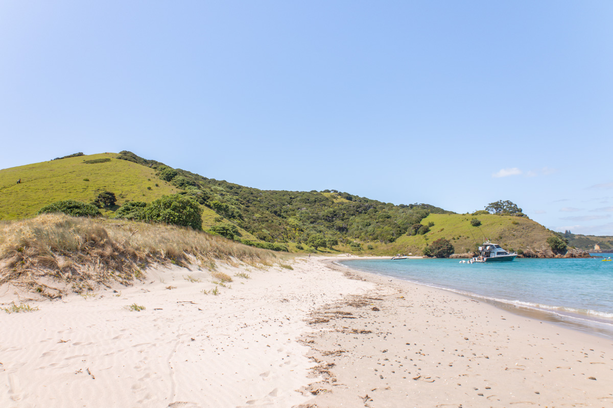 waewaetorea island beach