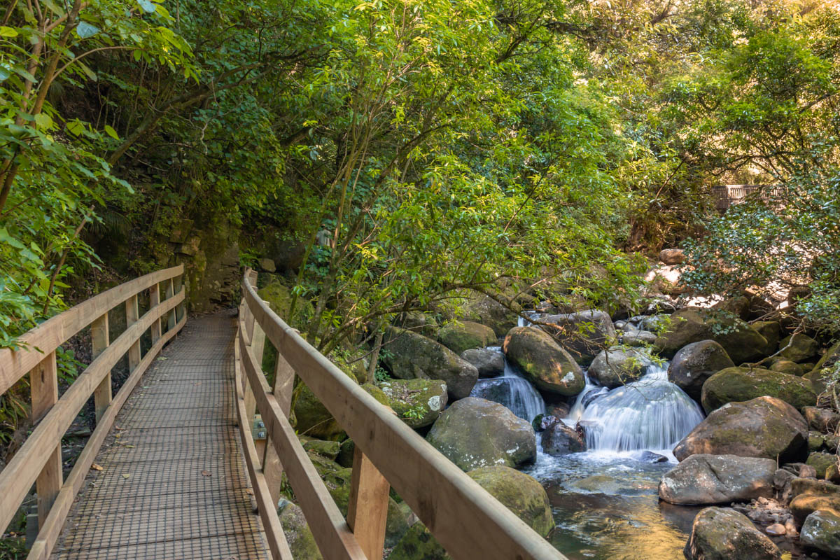 wairere falls bridge waterfall