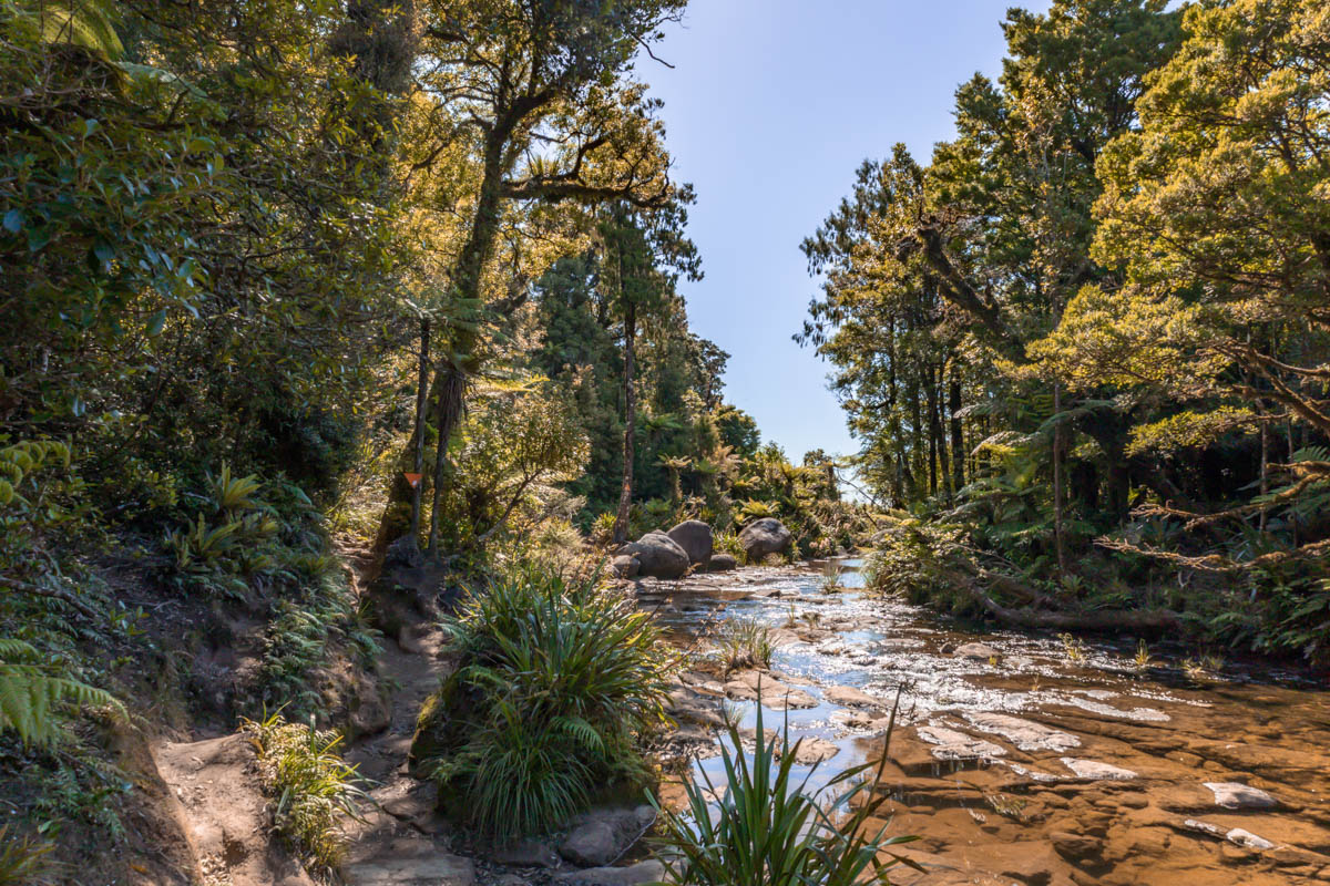 wairere falls river waikato