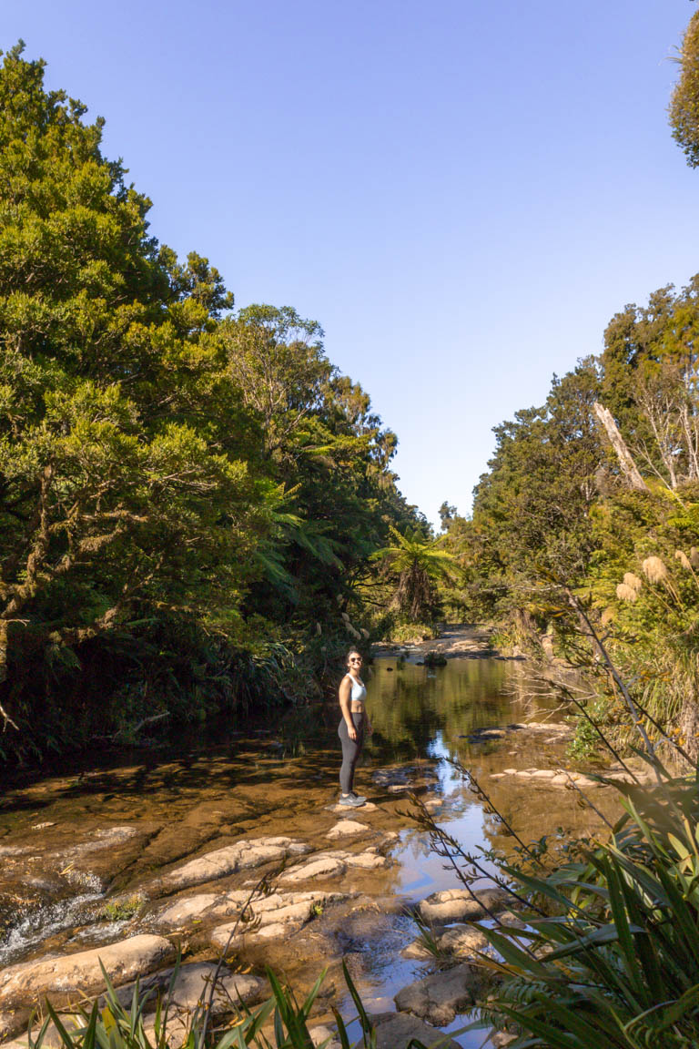 wairere falls waikato river