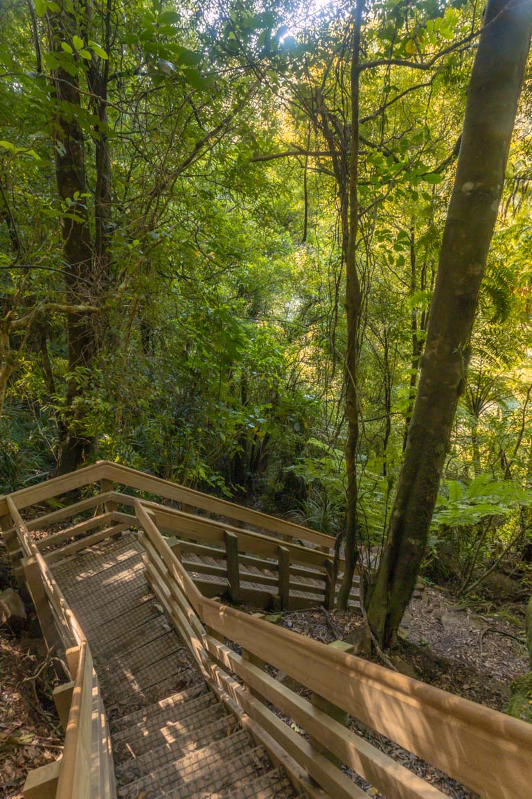 wairere falls waikato stairs