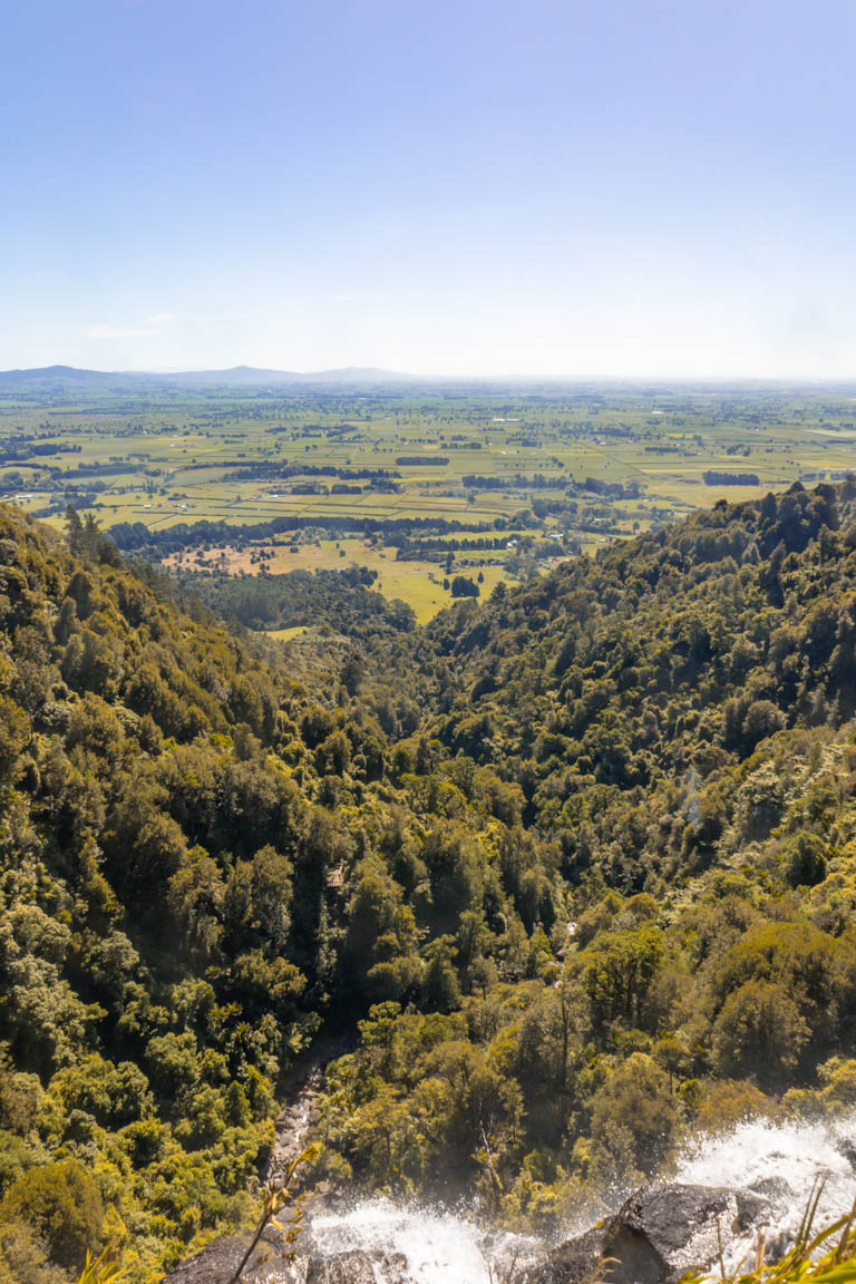 wairere falls waikato view