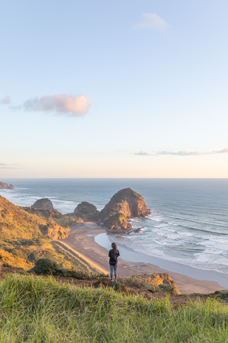 walks in the waitākere ranges bethells beach te henga