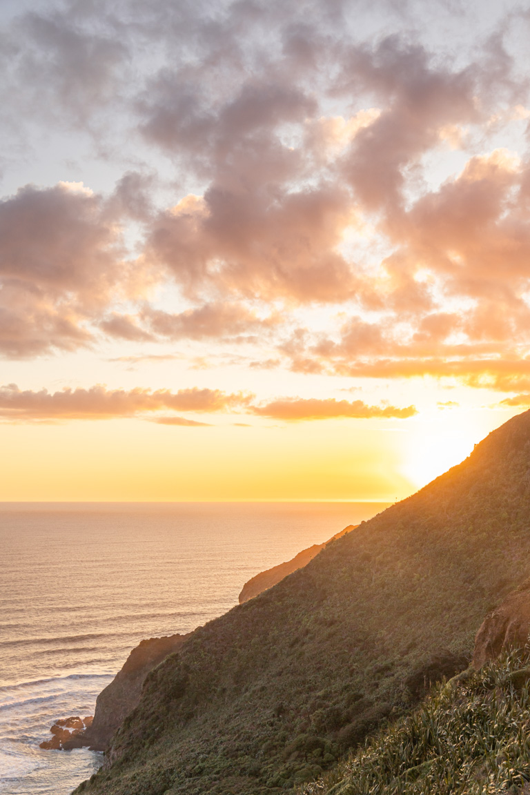 walks in the waitākere ranges te henga sunset