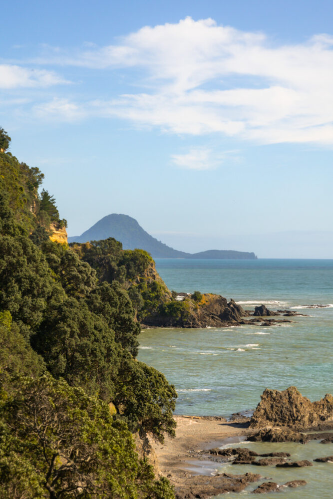 Read more about the article Kohi Point Walkway: The Ultimate Guide to Whakatāne’s Coastal Gem