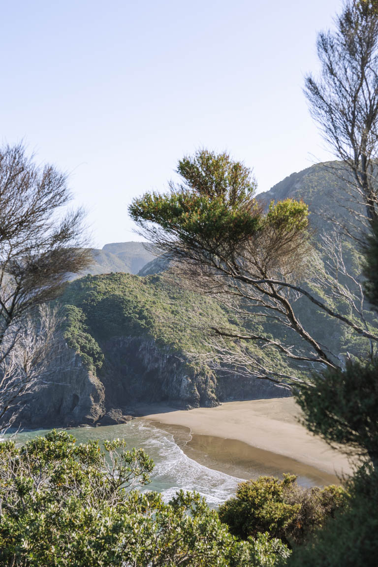 whites beach waitākere ranges lookouts