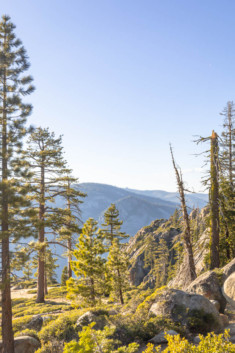 yosemite national park california forestry